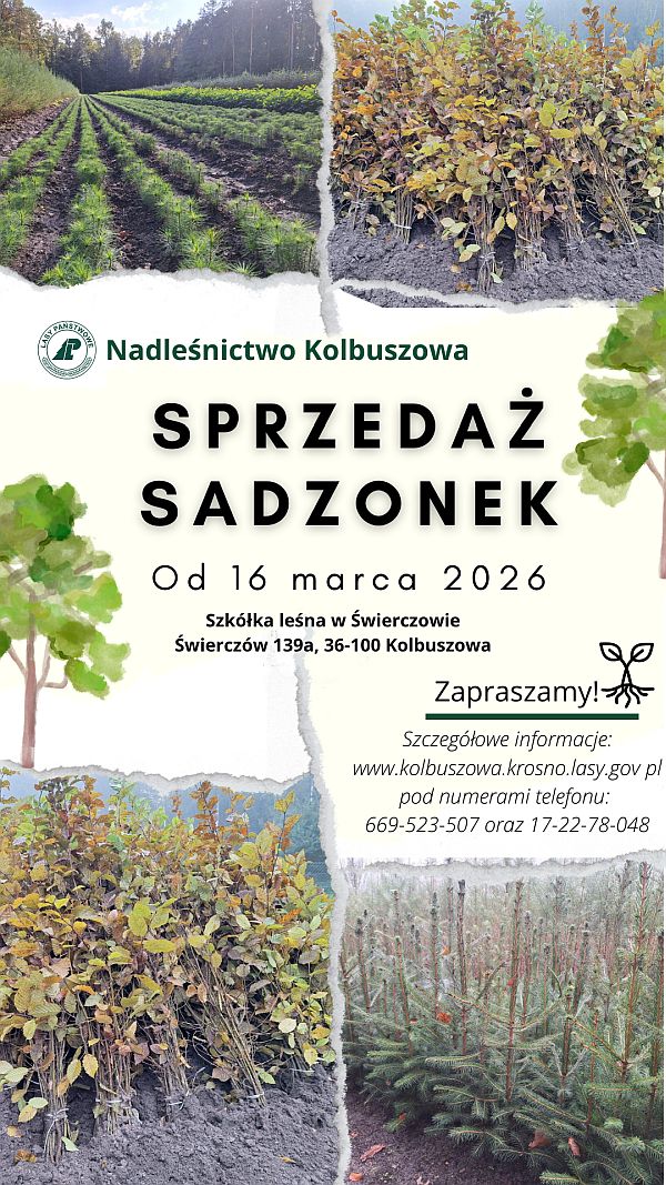 Plakat sprzedaż sadzonek